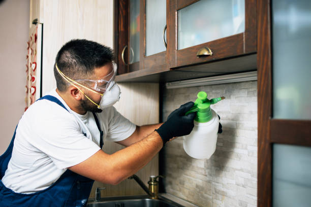 Best Exterminator Services  in Endwell, NY
