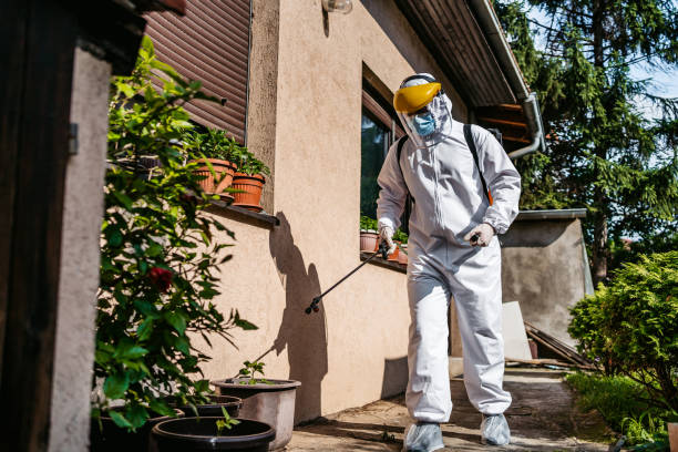Best Pest Removal Services  in Endwell, NY