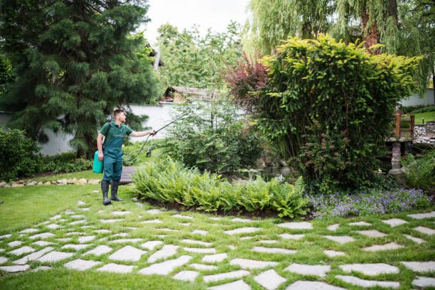 Best Affordable Pest Control Services  in Endwell, NY