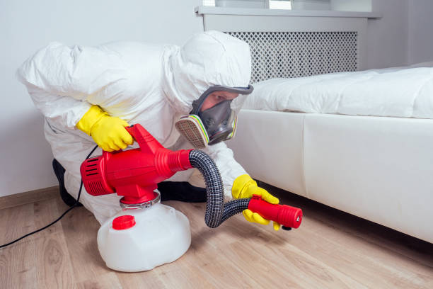 Best Insect Control  in Endwell, NY