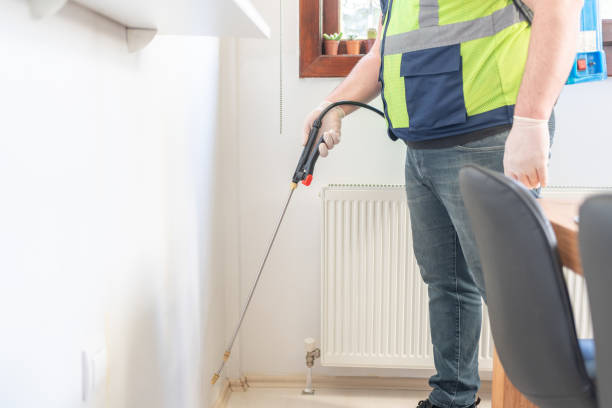 Best Ant Control Services  in Endwell, NY