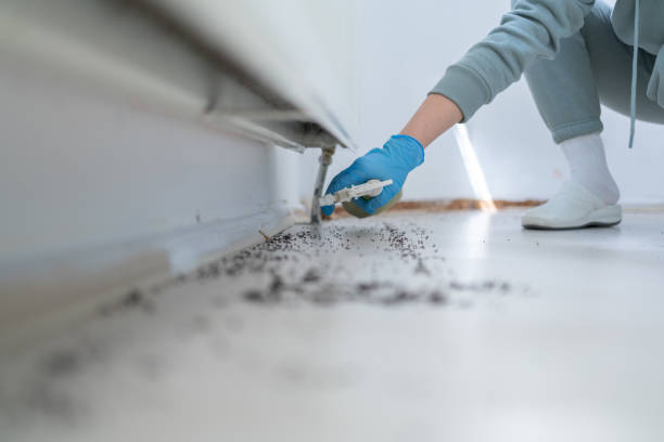 Best Pest Removal Services  in Endwell, NY