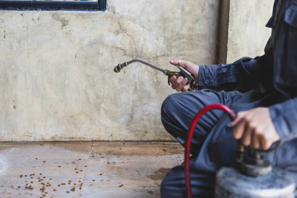 Best Wasp Removal Services  in Endwell, NY
